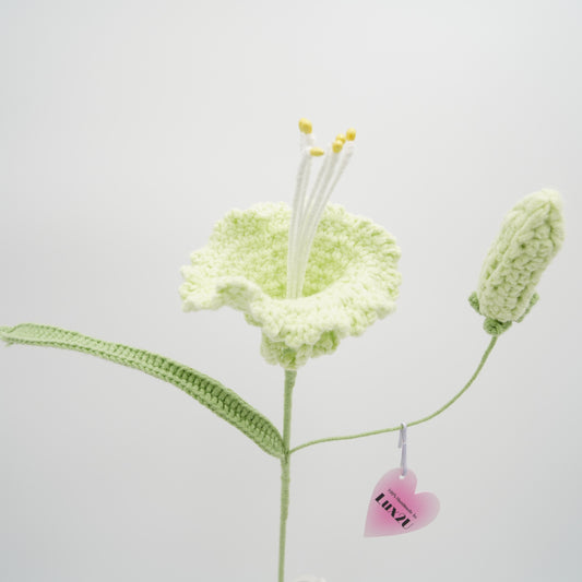 Crochet Flower, Tradescantia sillamontana, 100% Handmade, Hand-Knitted with 100% Cotton